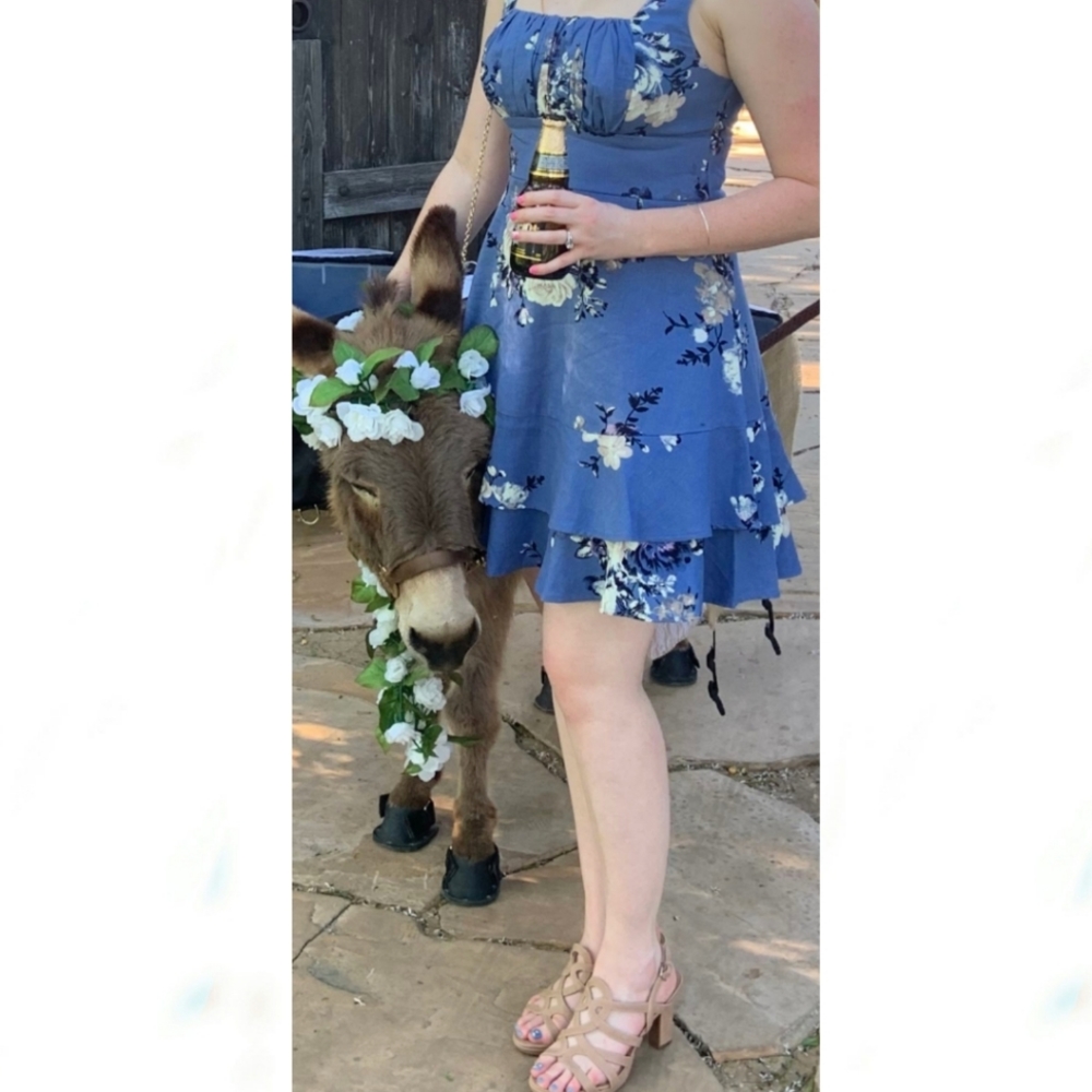 Francesca's Miami Floral Print Dress Medium